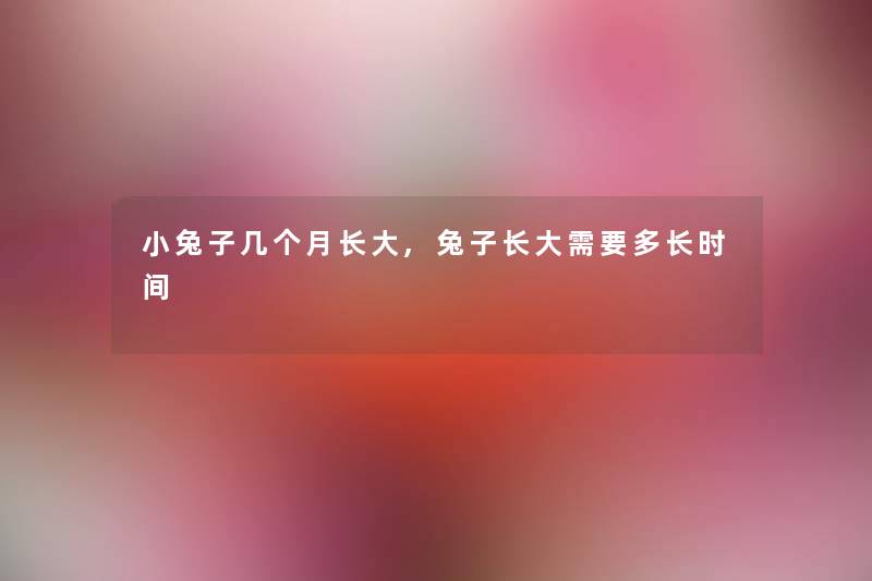小兔子几个月长大,兔子长大需要多长时间