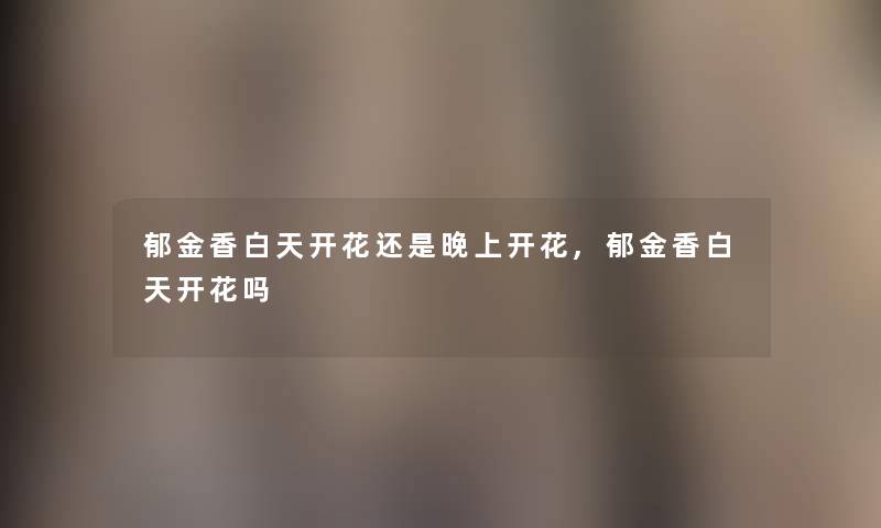 郁金香白天开花还是晚上开花,郁金香白天开花吗