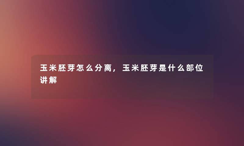 玉米胚芽怎么分离,玉米胚芽是什么部位讲解