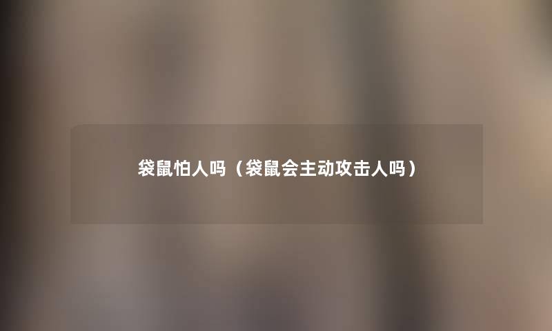 袋鼠怕人吗(袋鼠会主动攻击人吗) 袋鼠怕人吗(袋鼠会主动攻击人吗)
