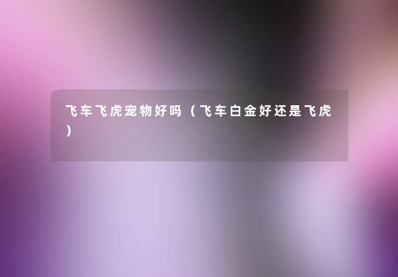 飞车飞虎宠物好吗(飞车白金好还是飞虎) 飞车飞虎宠物好吗(飞车白金好还是飞虎)