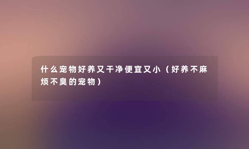 什么宠物好养又干净便宜又小(好养不麻烦不臭的宠物) 什么宠物好养又干净便宜又小(好养不麻烦不臭的宠物)