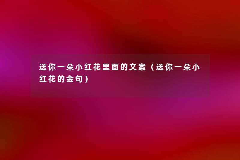 送你一朵小红花里面的文案（送你一朵小红花的金句）