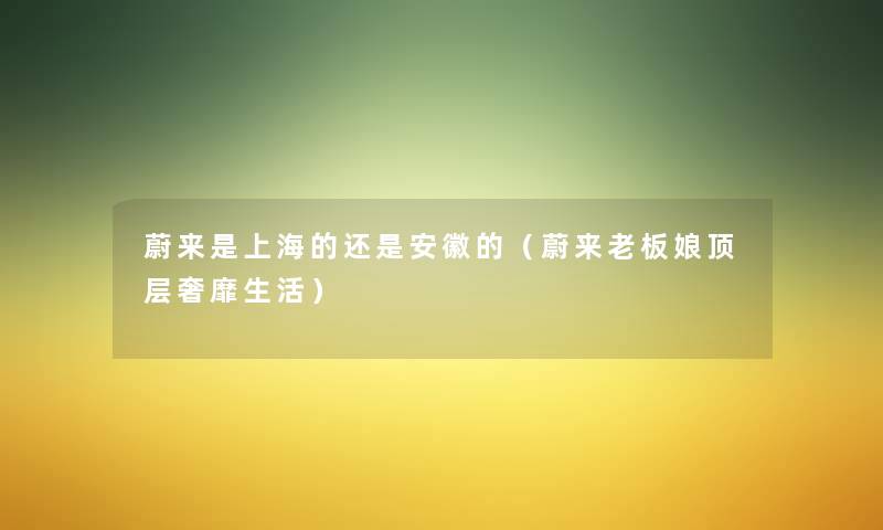 蔚来是上海的还是安徽的（蔚来老板娘顶层奢靡生活）