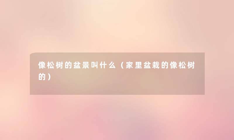 像松树的盆景叫什么(家里盆栽的像松树的) 像松树的盆景叫什么(家里盆栽的像松树的)