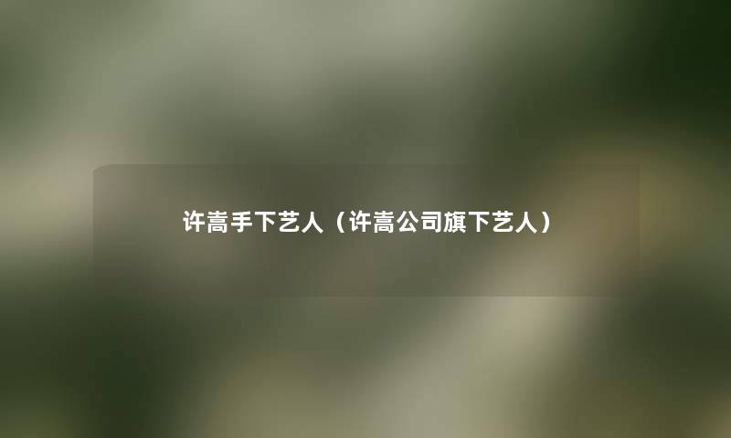 许嵩手下艺人（许嵩公司旗下艺人）