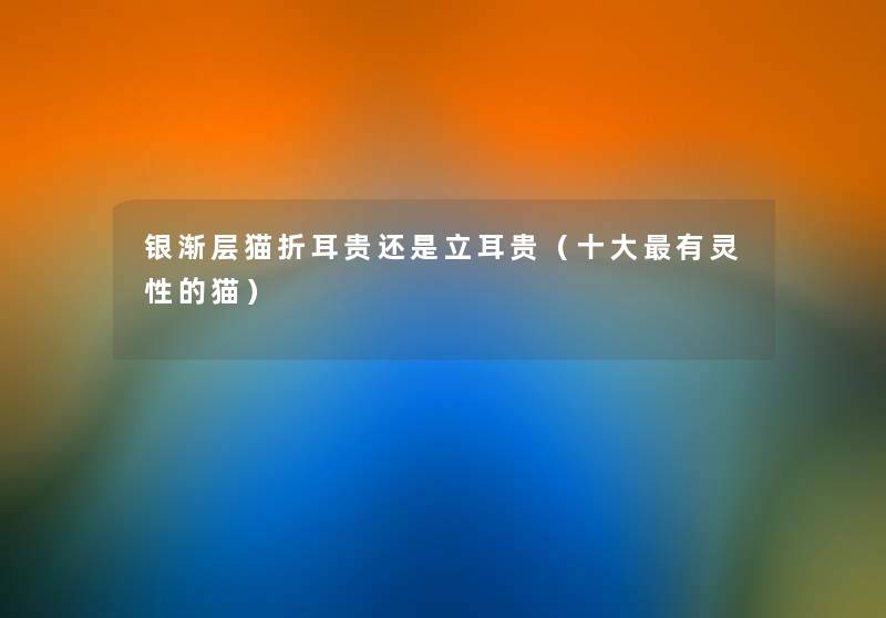 银渐层猫折耳贵还是立耳贵（一些有灵性的猫）