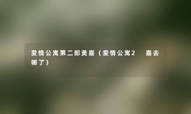 爱情公寓第二部美嘉（爱情公寓2 嘉去哪了）