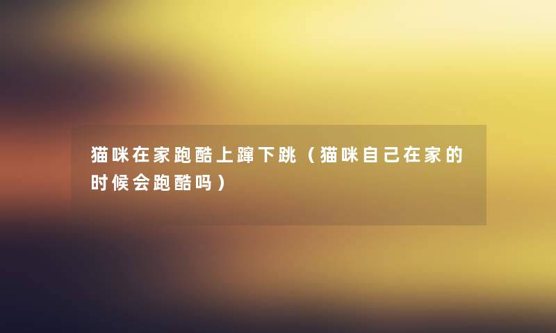猫咪在家跑酷上蹿下跳（猫咪自己在家的时候会跑酷吗）