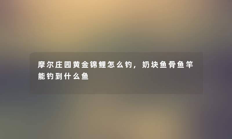 摩尔庄园黄金锦鲤怎么钓,奶块鱼骨鱼竿能钓到什么鱼 摩尔庄园黄金锦鲤怎么钓,奶块鱼骨鱼竿能钓到什么鱼