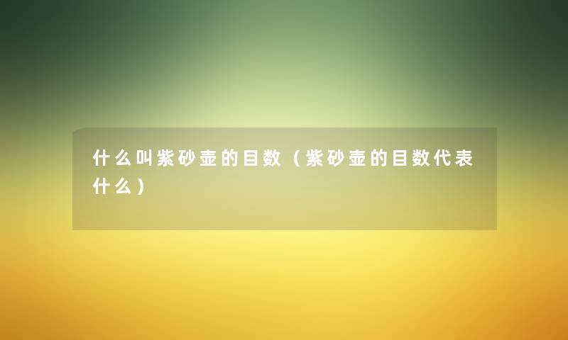 什么叫紫砂壶的目数（紫砂壶的目数代表什么）