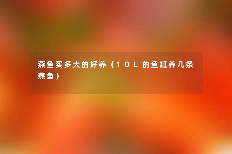 燕鱼买多大的好养（10L的鱼缸养几条燕鱼）
