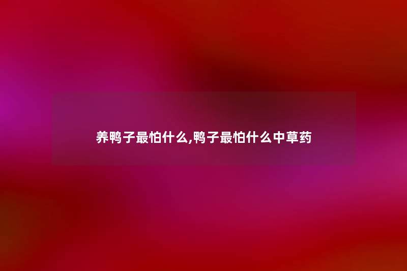 养鸭子怕什么,鸭子怕什么中草药